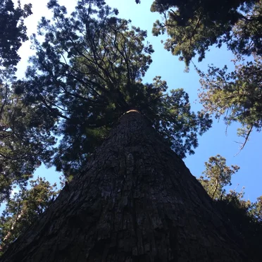 the morning slowly comes