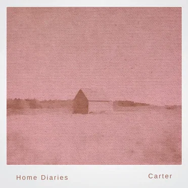 Home Diaries 026