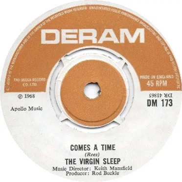Secret by The Virgin Sleep - album cover