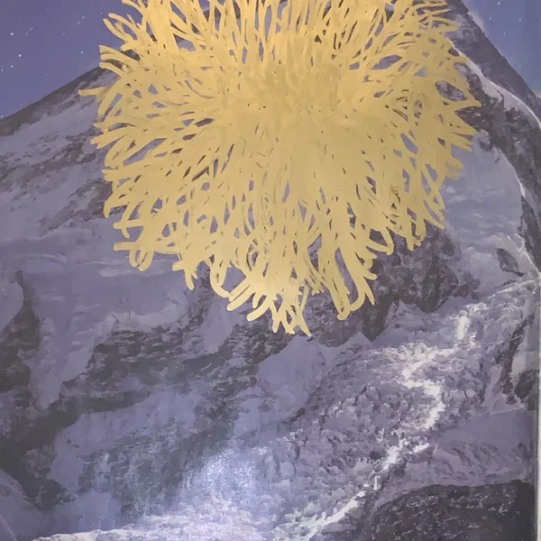 𝔗𝔄𝔖ℌℑ 𝔗𝔖𝔈𝔊𝔓𝔄