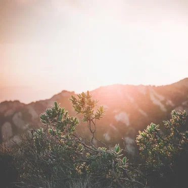 I Knew This Would Be Love (piano)