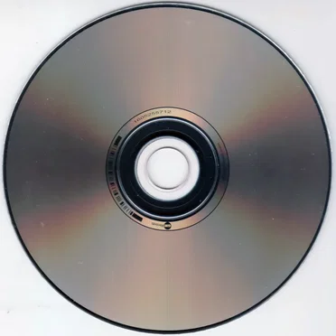 Turpista