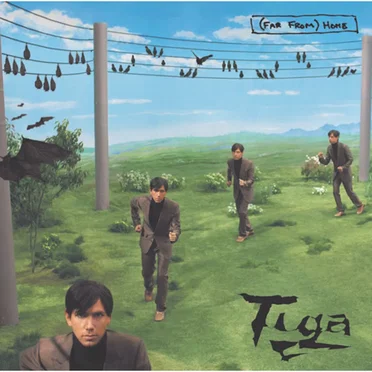 (Far From) Home (DFA remix)