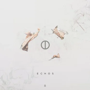 Echos