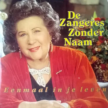 Eenmaal in je leven / Johnny de zwerver