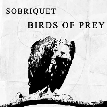Birds of Prey by Sobriquet - album cover
