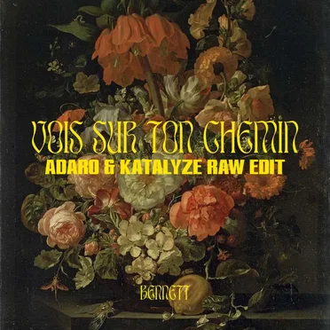 Vois Sur Ton Chemin (Adaro & Katalyze RAW edit) by Adaro - album cover