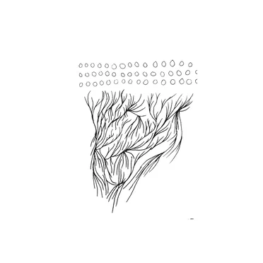 Arcana