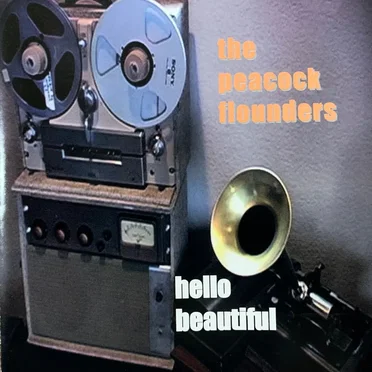 Hello Beautiful by The Peacock Flounders - album cover