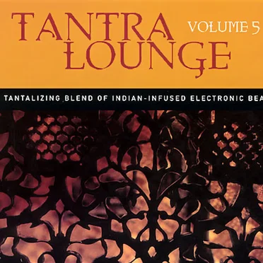 Tantra Lounge, Volume 5 by Various Artists - album cover