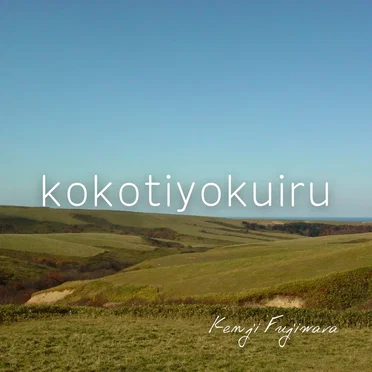 kokotiyokuiru by Kenji Fujiwara - album cover
