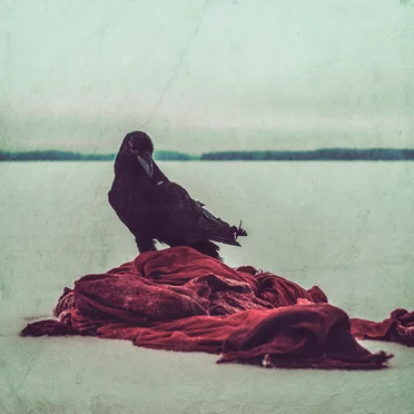 Raven Bones by Orbiter - album cover