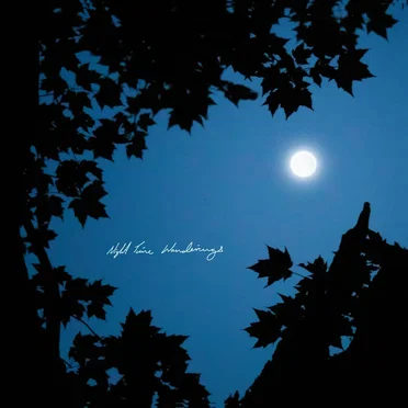 Night Time Wonderings