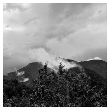 Introspective by Dario Crisman - album cover