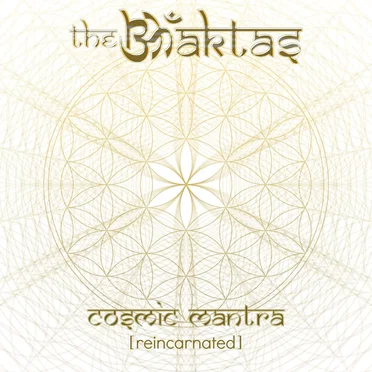 Cosmic Mantra [Reincarnated] by The Bhaktas - album cover