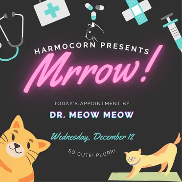 dr. meow meow