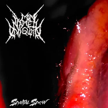 Spatial Spew by A Man Named Onigumo - album cover