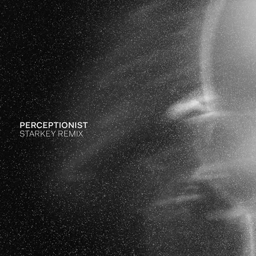 Perceptionist (Starkey remix)