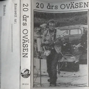 20 års oväsen by Various Artists - album cover