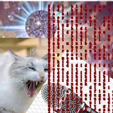 mMMMc kitty cat on the fookin mic muthaoeRFUCKERRRR!!!!!!!!! by CXTCLXW - album cover