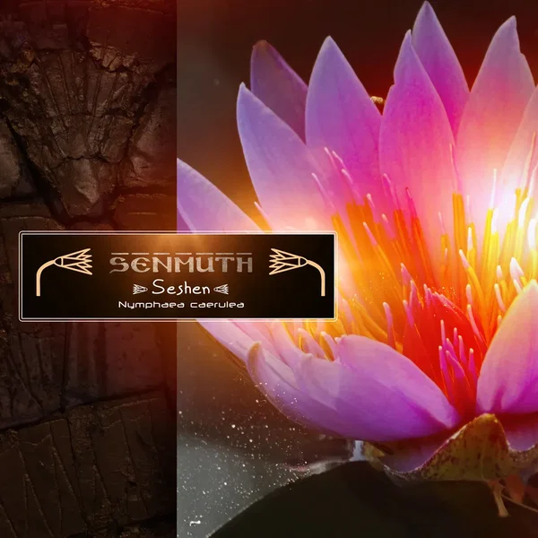 Seshen