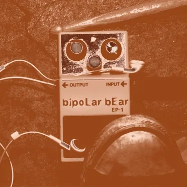 Bipolar Bear by Bipolar Bear - album cover