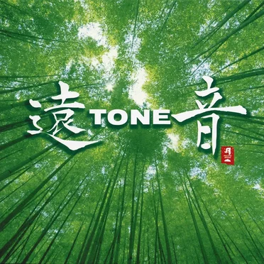 Tone by Mihoko Ono & Yukihiko Mitsuka & Tone - album cover
