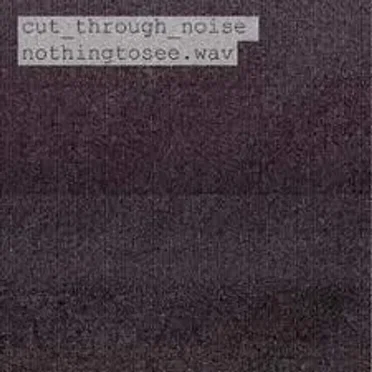 Nothing to See by Cut Through Noise - album cover