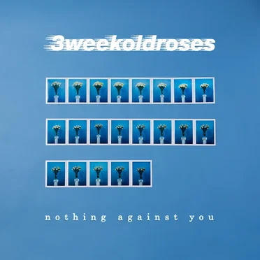 Nothing Against You by 3weekoldroses - album cover