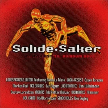 Solide Saker: En Hyllest til DumDum Boys by Various Artists - album cover