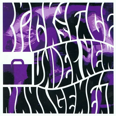 Under New Management by Brick vs Face - album cover
