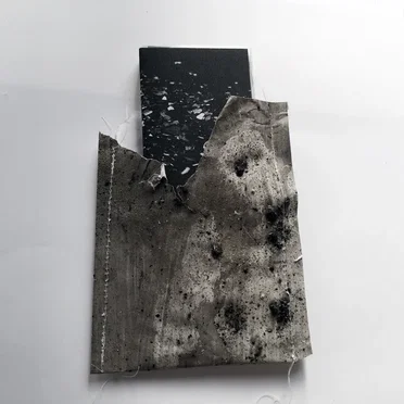 A LIVE Collaboration