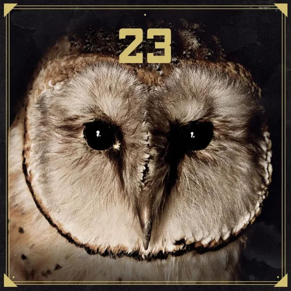 23