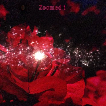 Zoomed i