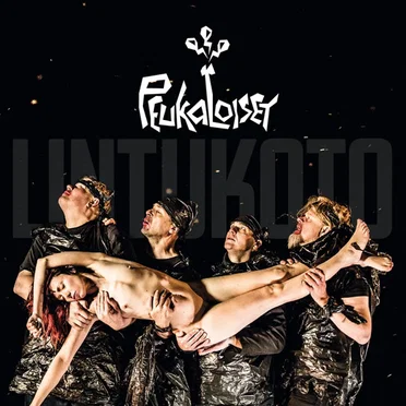 LintuKoto by PeukaLoiset - album cover