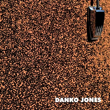 Danko Jones