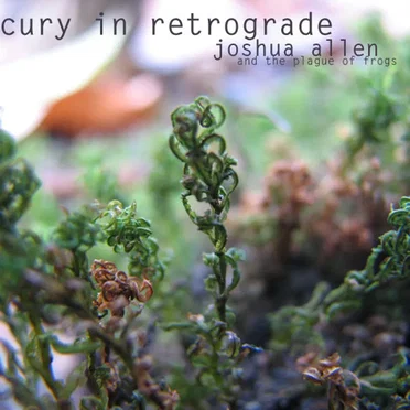 Mercury in Retrograde by Joshua Allen and the Plague of Frogs - album cover