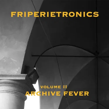 Friperietronics Vol. 2: Archive Fever by the new objective - album cover
