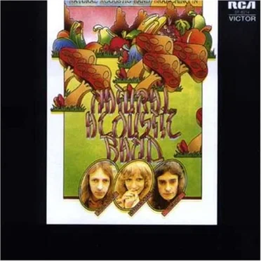 Branching In by Natural Acoustic Band - album cover