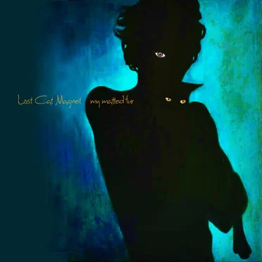My Matted Fur by Lost Cat Magnet - album cover