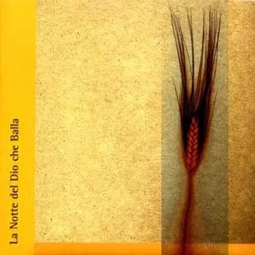 La notte del dio che balla by Various Artists - album cover