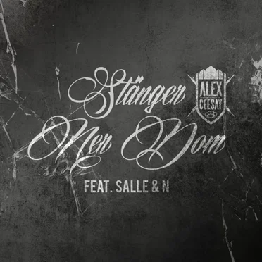 Stänger ner dom by Alex Ceesay - album cover