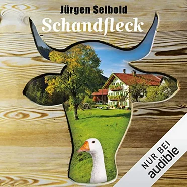 Schandfleck by Jürgen Seibold - album cover