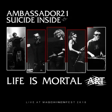 Life Is Mortal Art (live at Maschinenfest 2K18)