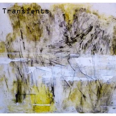 Transients by No Fixed Tribe - album cover
