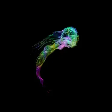 Apparition by Vitnoise - album cover