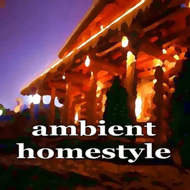 Ambient Homestyle by Various Artists - album cover