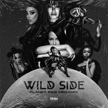 Wild Side (Planet R&B Megamix) (Normani feat. Aaliyah, Janet Jackson, Nicki Minaj, Doja Cat, Tinashe & Tink)