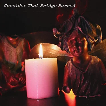 Consider That Bridge Burned by Phantom Limbs - album cover