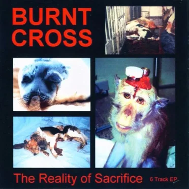 The Reality of Sacrifice
